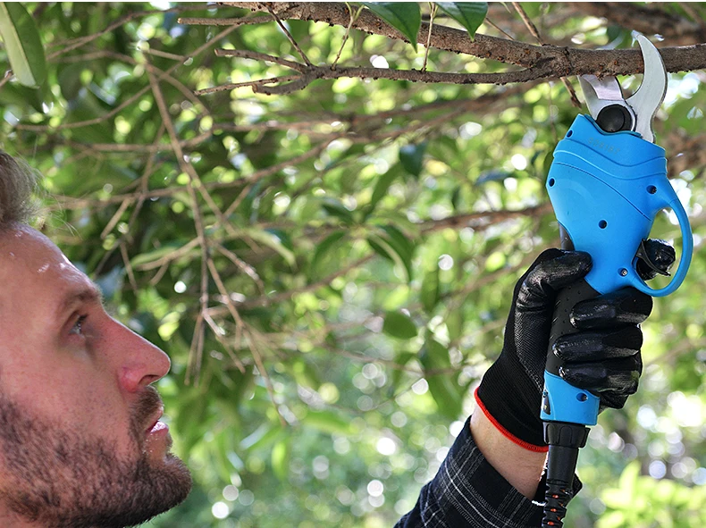 electric secateurs (15).jpg