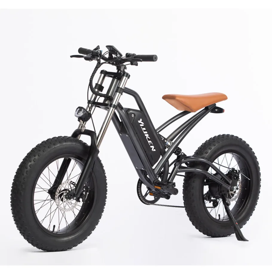 

350W 500W High Speed Power 36V 48V Voltage 13Ah Self-balancing Mountain Bike Motorcycle Electric Bicycle