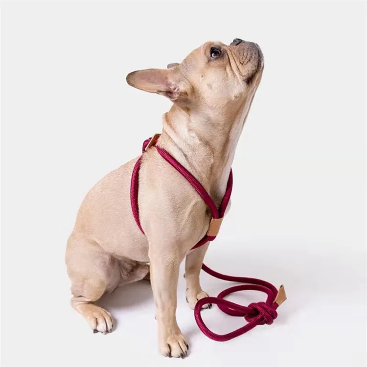 

New arrival dog harness and leash P chain rope harness leash set for walking dogs, Red