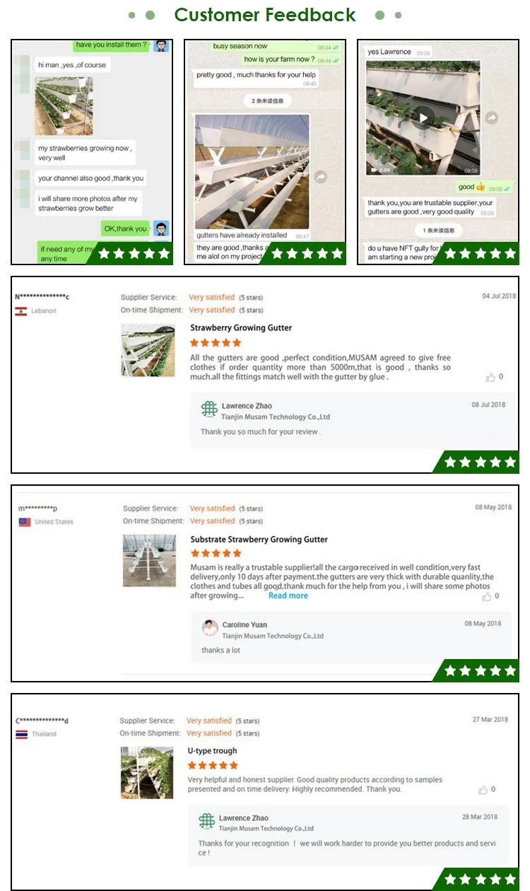 hydroponic gutter for strawberry