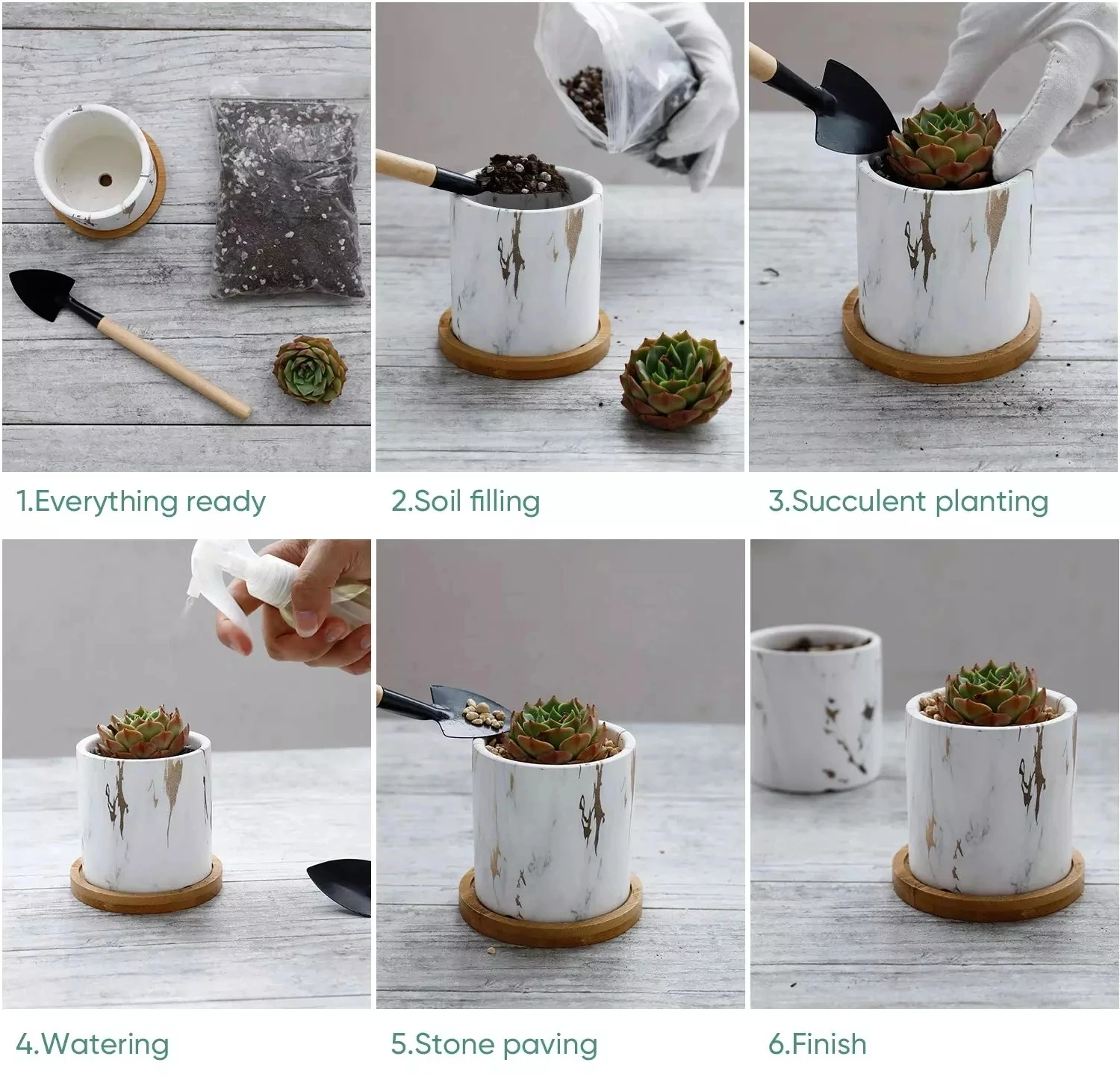 Lightweight Small Bonsai Sublimation Balcony Eco Friendly White Plant