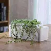 Smart Mini Garden sole agent wanted in Macao