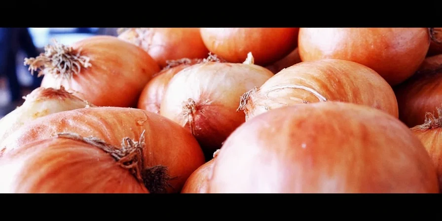 Onion powder vs fresh onion comparison