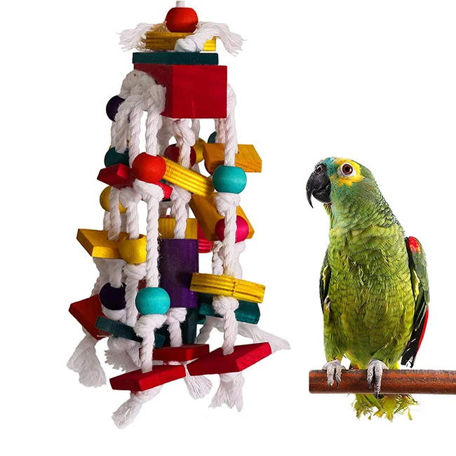 

Dropshipping Parrots Conures Cages Cage Accessories Cockatiels Parrot Toys For Large Birds