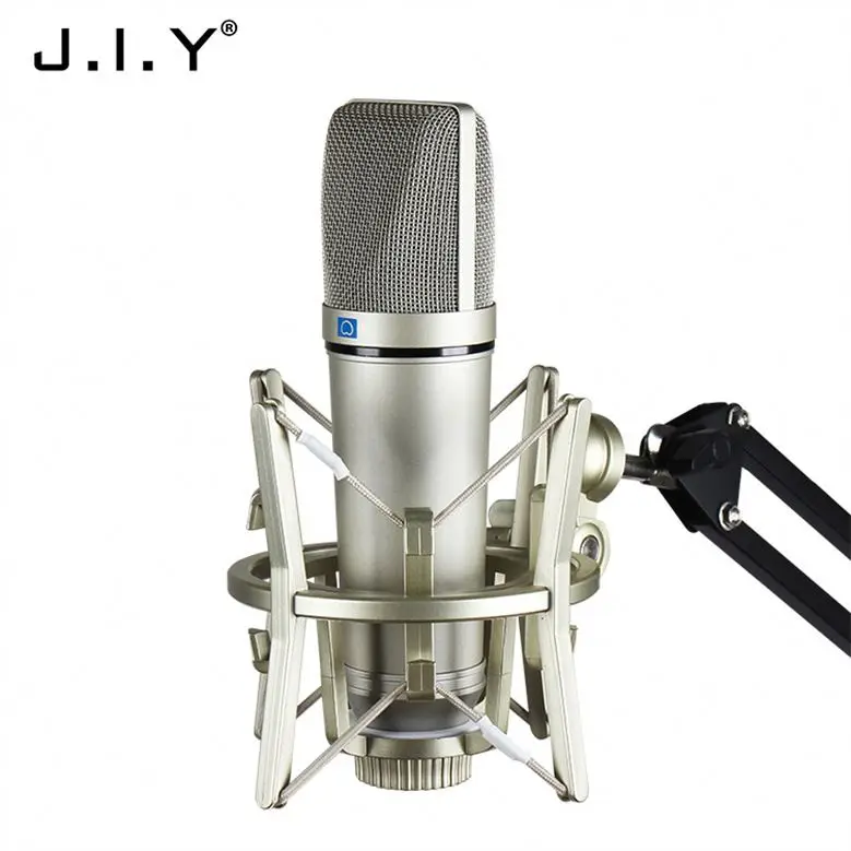 

Best Price Condenser Microphone Profeniol Studio Recording, Champagne