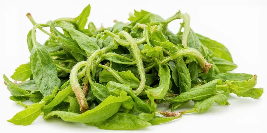 Various dishes garnished with green herbs