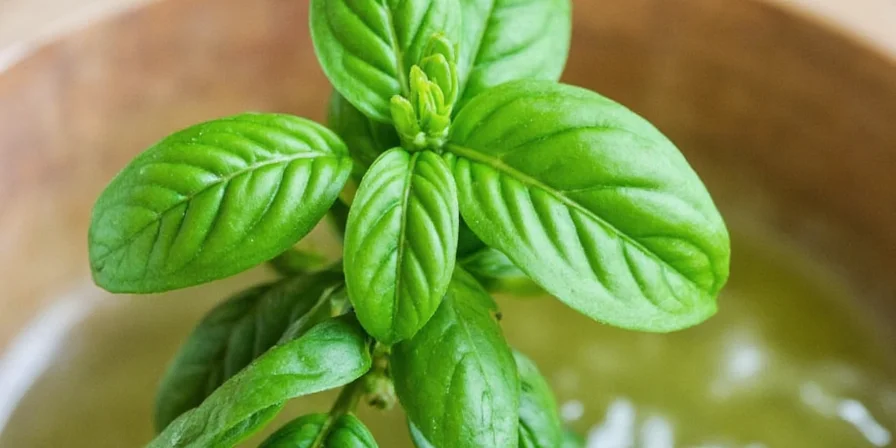 Different types of basil