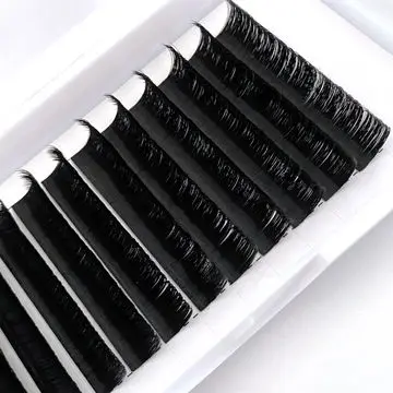 

High Quality Individual Private Label 0.03, 0.07 Easy Fan Korean Pbt Volume Eyelash Extension