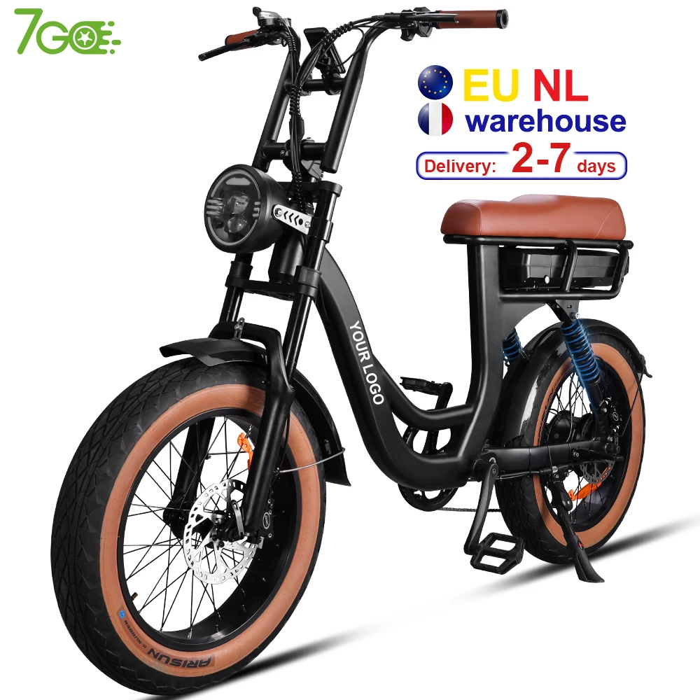 

US EU warehouse stock bicicleta electrica Vintage Retro e-bike two seat Off Road e bike Fat Tire electric bicycle for Women