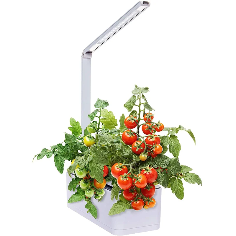 

Wholesale Cheaper ProductsHerb hydroponic growing pot system plant indoor garden grow lights indoor garden green machine in home