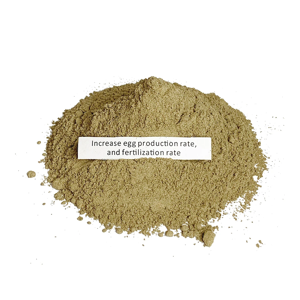 Best selling veterinary medicine laying hen increase egg reproductive system drugs