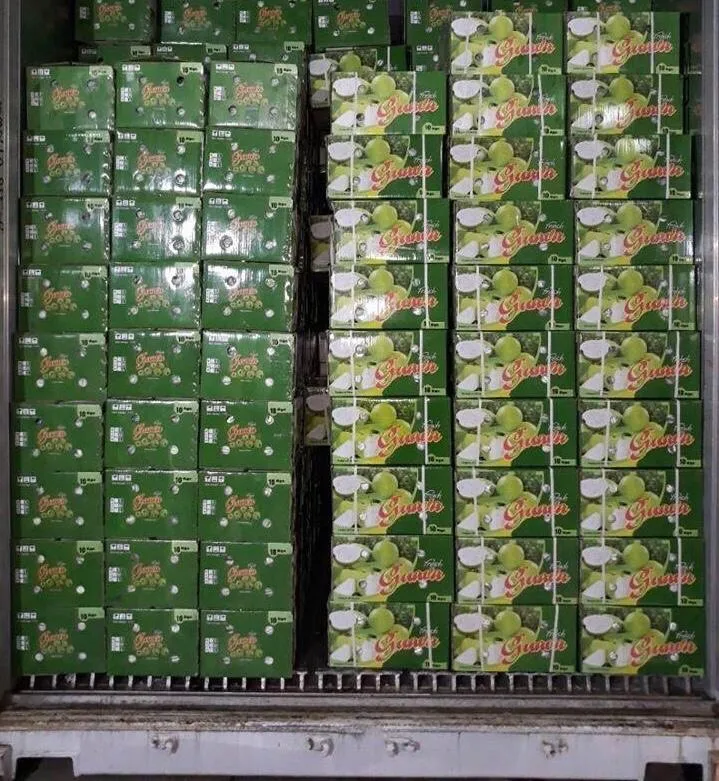 
Newest 2020 fresh guava export origin from Vietnam package in carton box 5kg 9kg 9.5kg 10kg net weight 
