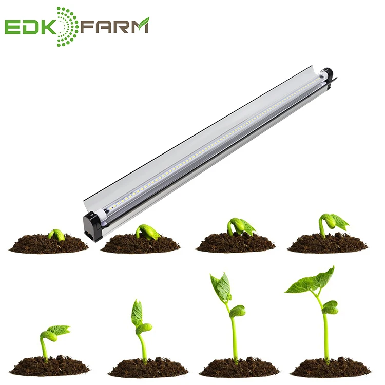 most popular plant propagating indoor aeroponics growing system microgreens vertical t5 farming strip horticulture led light bar