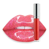 

private label high glitter shiny lip gloss multi colors High Pigments long lasting lipgloss