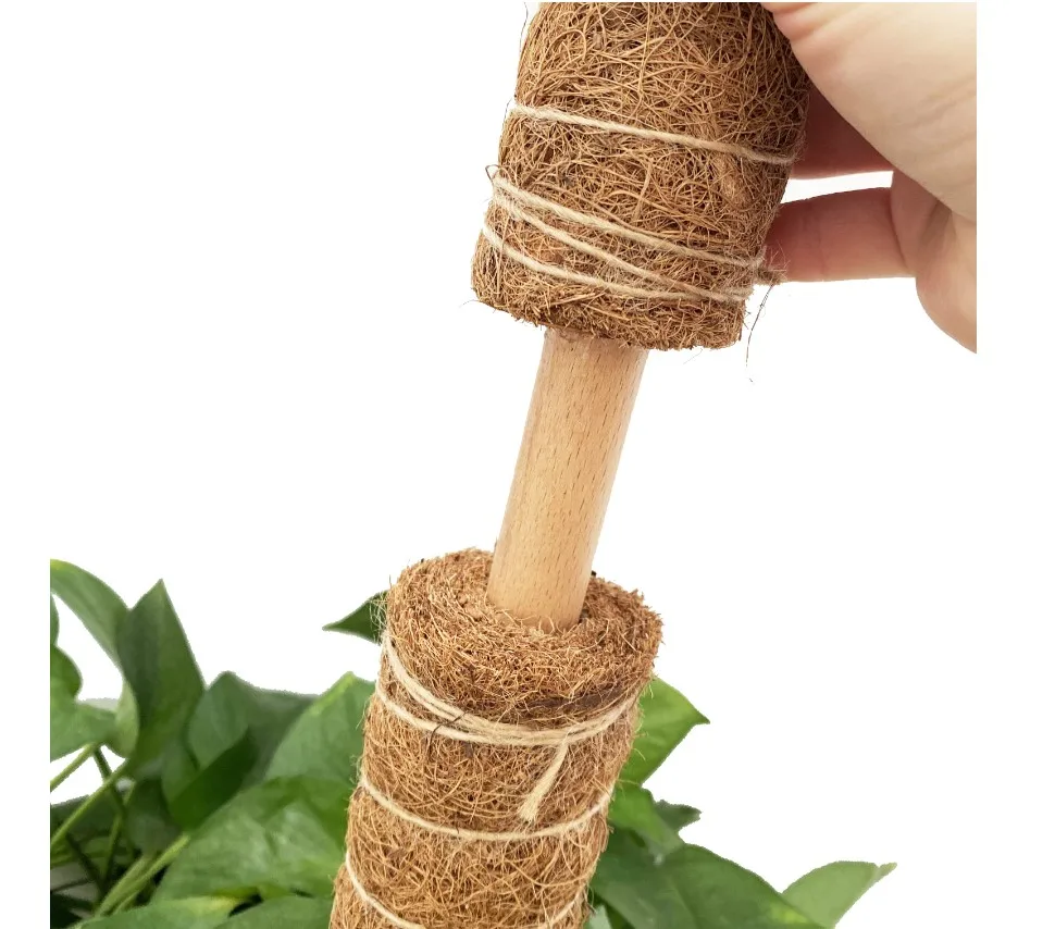 

15'' Moss Pole for Indoor Climbing Plants with Garden Twist tie, Natural brown