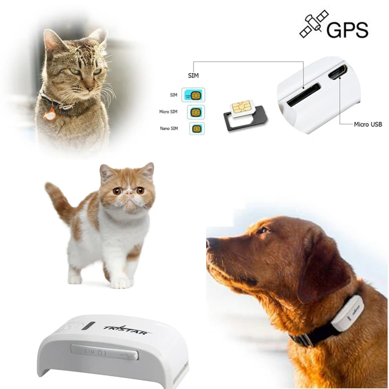 

Real Time Tracking Smart Geo Fencing Pet Collar GPS Tracker for Dog Cat TK909