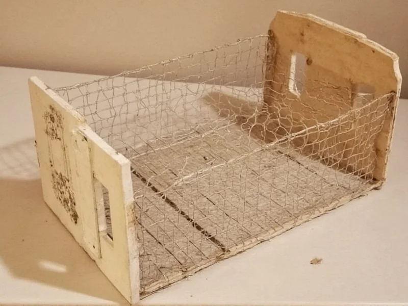 diy rodent trap