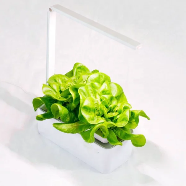 

cultivo indoor garden hortus grow plante herb organic grow with LED ILUMINACAO growing hydroponia smart indoor wholesale, White