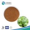 Ocimum Sanctum P.E. / Ocimum Sanctum Powder Extract / 0.2% Alkaloids by HPLC!!!