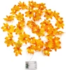 Thanksgiving Lighting Autumn Garden Decorative 20 LEDS 3AA Battery Power Fall Seasonal Fairy Light Maple Leaves String Light