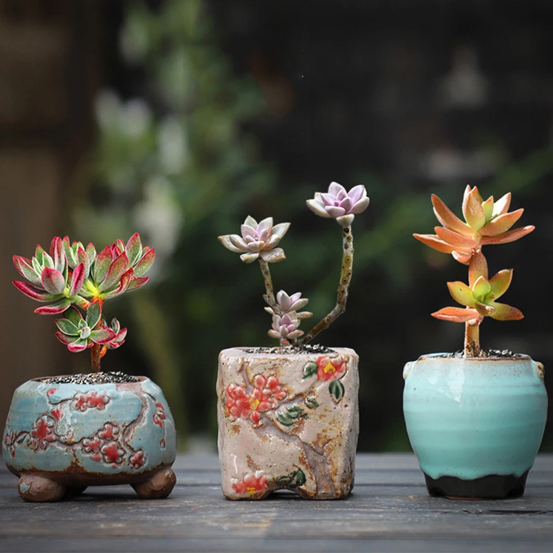 

Cute Ceramic Plant Mini Creative Desktop Succulent Carved Household Small Flower Pot