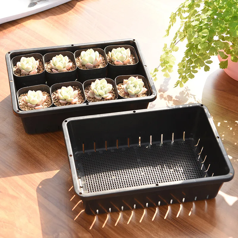 

plastic seed tray seed trays for sale wholesale nursery tray planting black, Customized