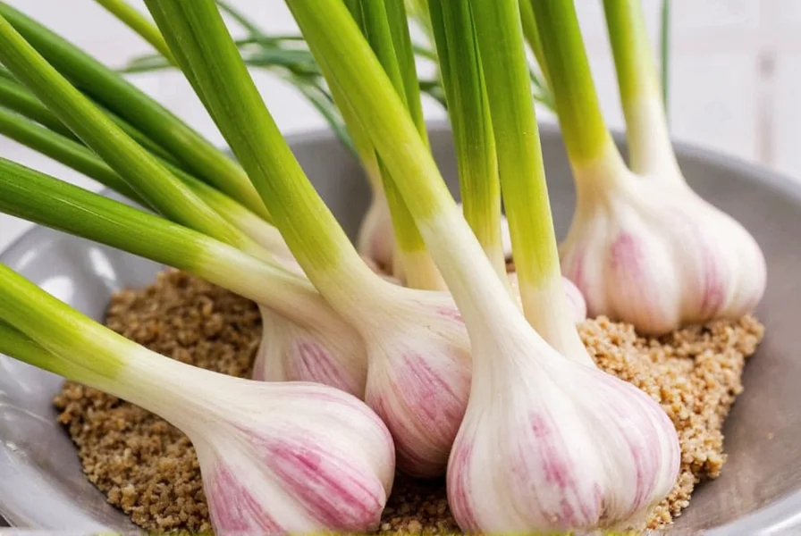 Garlic cloves ready for planting in garden soil
