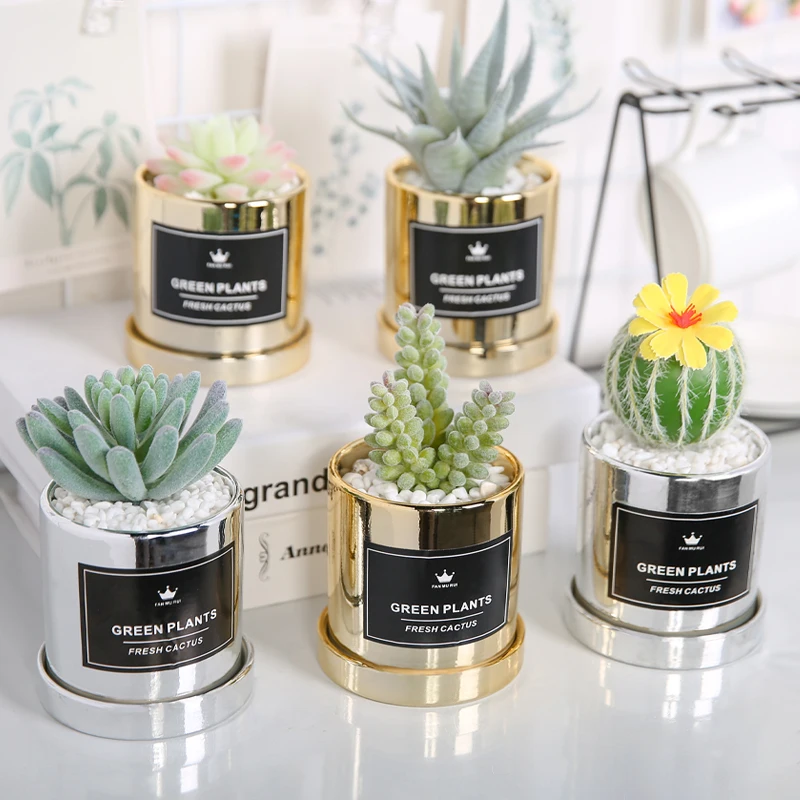

Wholesale Succulent Plant Korean Artificial Mini Cheap Flower Pots Succulent Plant, As picture