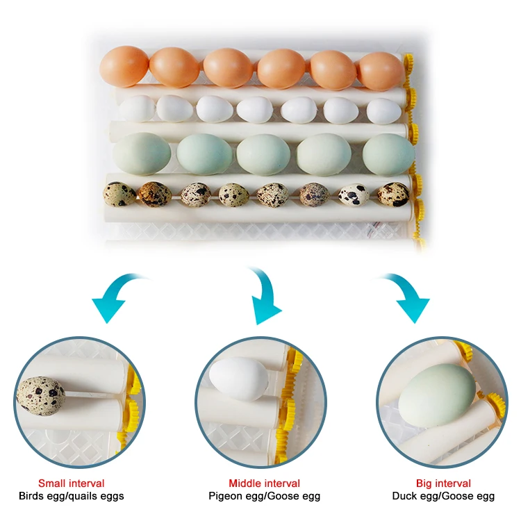 16egg incubator-24.jpg