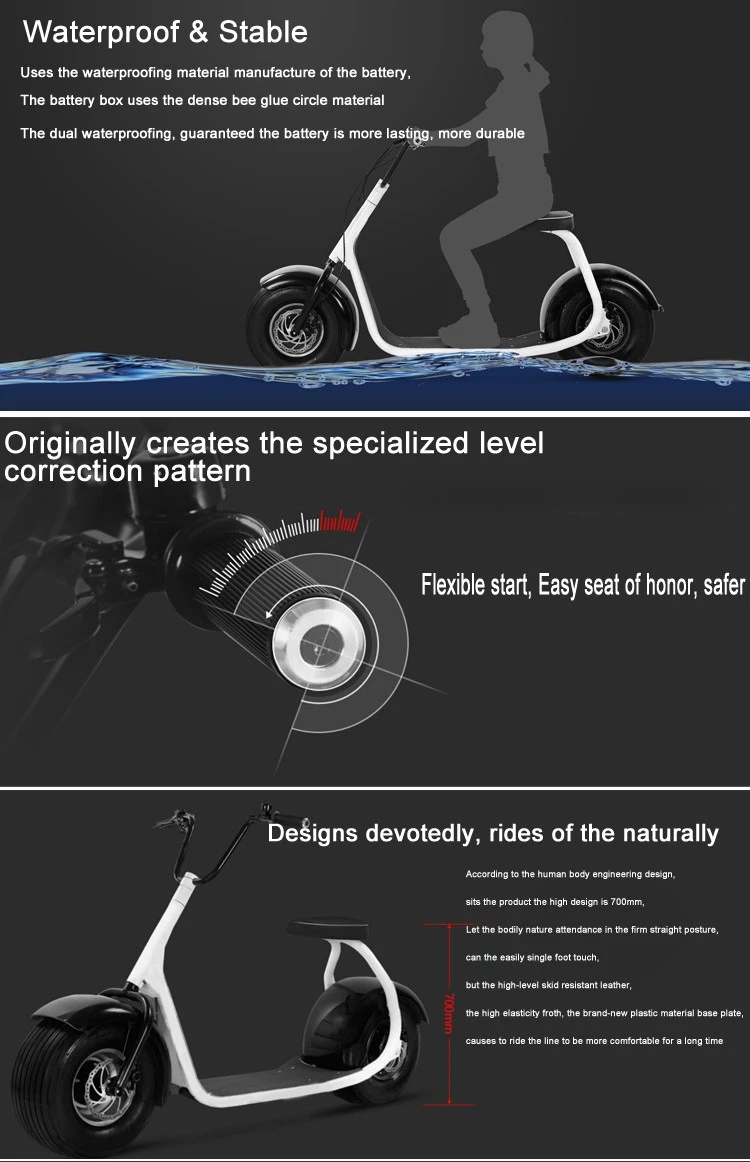 Holland Warehouse European Warehouse Stock 800W 1000W 1500W Electric Scooter Citycoco With EEC
