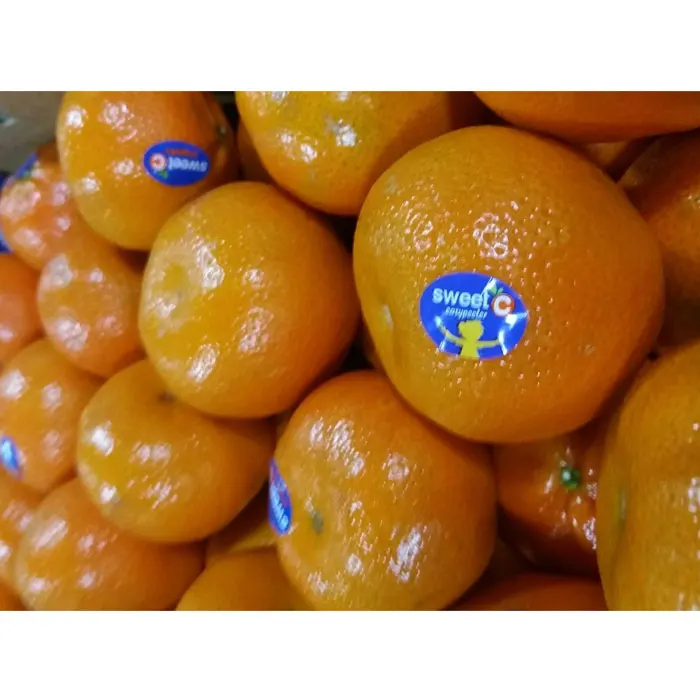 
HIGH QUALITY CLEMENTINE FRUIT HONEY NADARCOTT MANDARIN FOR WHOLESALE 