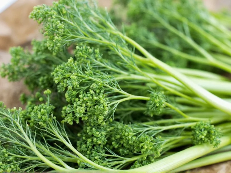 What Are Dill Heads: Complete Guide to Dill Flower Clusters