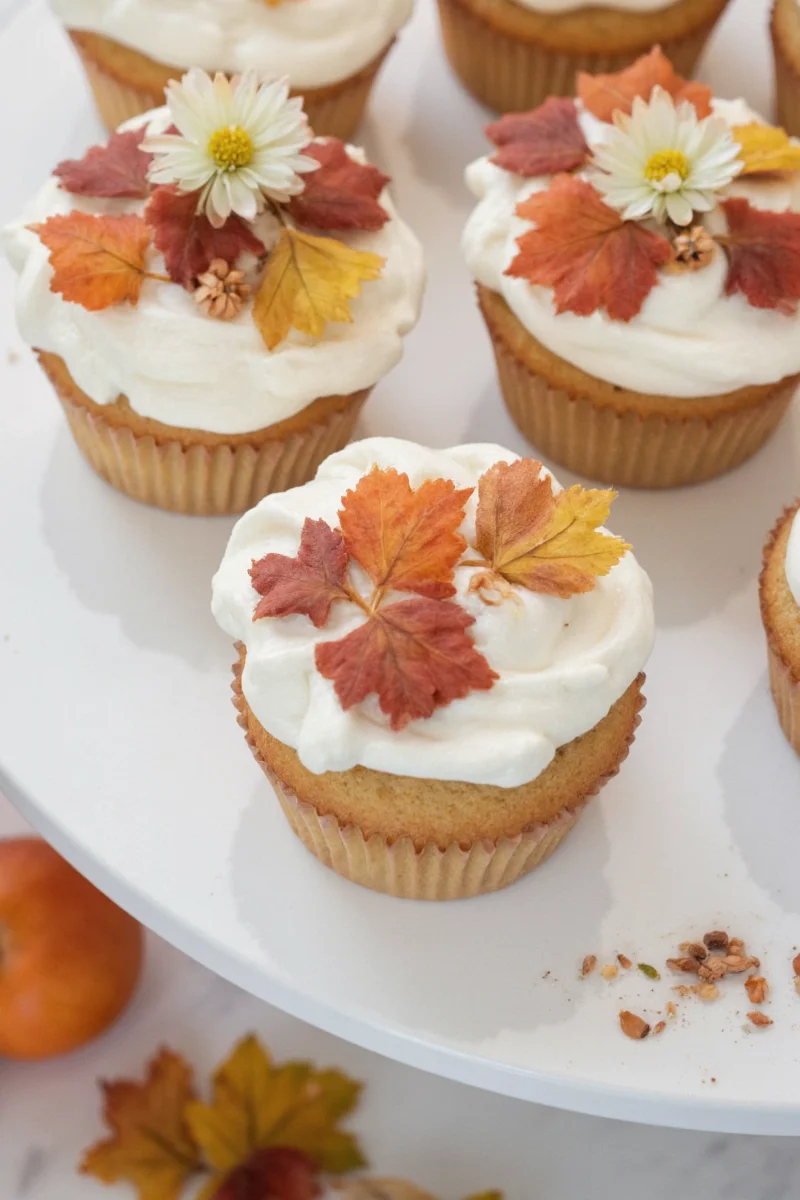 Various cupcake decorating kits and tools