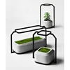 Nordic creative home accessories hot sell wrought iron cement stoneware fleshy green plant standing small flower pot