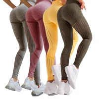 

Oem Quick Dry Women Yoga Mesh Legging Compression Sports Gym Fitness