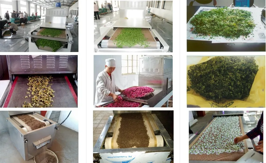  Clover Microwave Drying Sterilization Machine