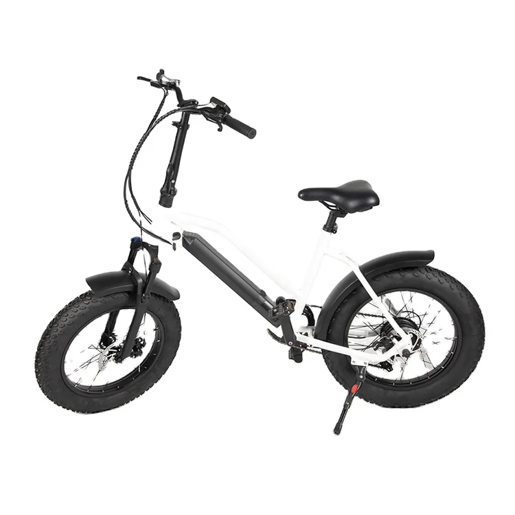 

20 inch Motor Bicycle China Snow Electrical Bicycle/ Racing 36V 250W High Speed Bike for Adults