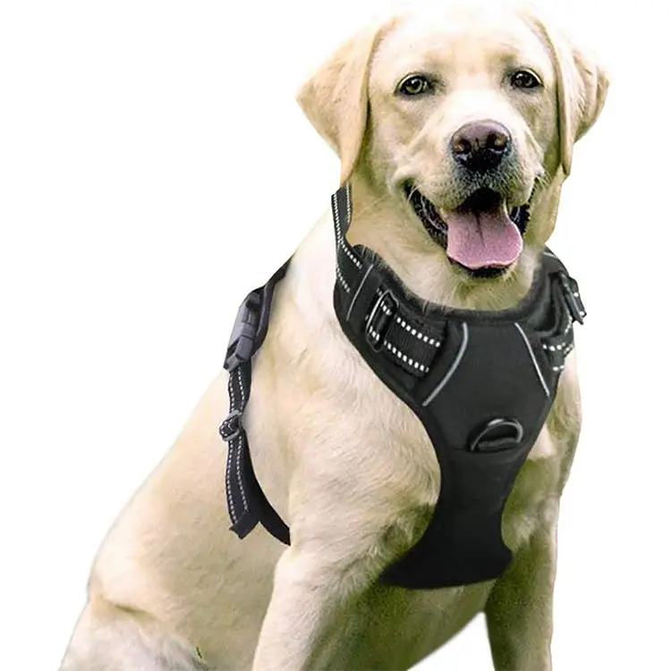 

Reflective Mesh Breathable Dog Harness Body Belt Vest Pet Training Safety Backpack Leash for Small Medium Large dog