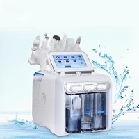 

Elder Care Beauty Equipment Medical Hydrofacials Microdermabrasion Instrument Skin Analyzer