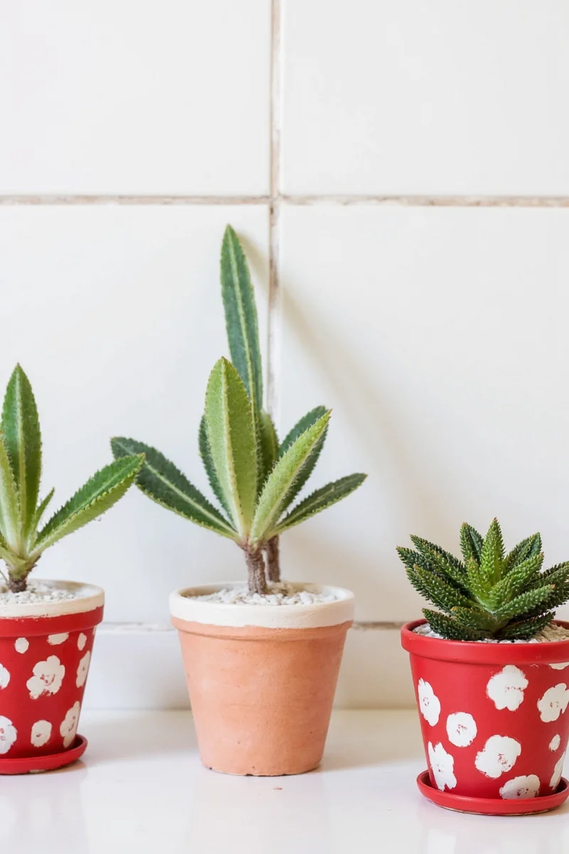 Various DIY cute painted pots including felt animals and glitter finishes