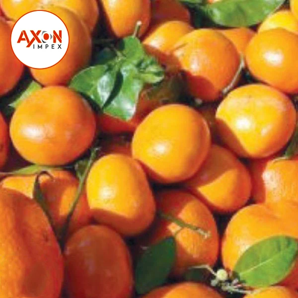 
A Grade Pakistani Mandarin Oranges Export TO USA - CHINA /UAE 