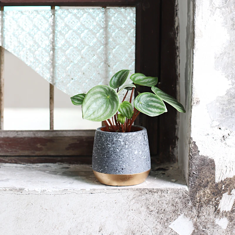 

New Arrivals Classic Cement Flower Pot Planter, Grey