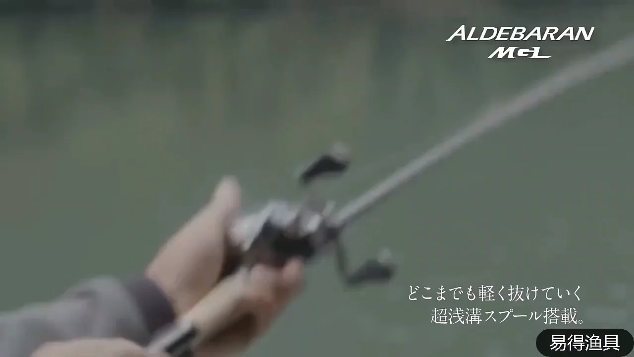Shimano Aldebaran Mgl Baitcasting Reel: Saltwater Fishing Wheel from Japan