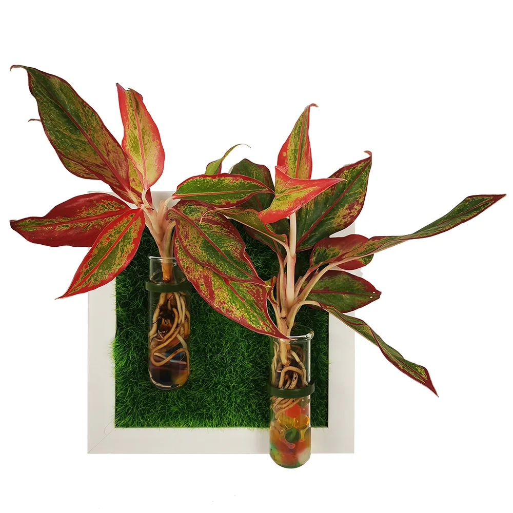

Mini starter kit hydroponics indoor planter with plant stand, Pictures shown