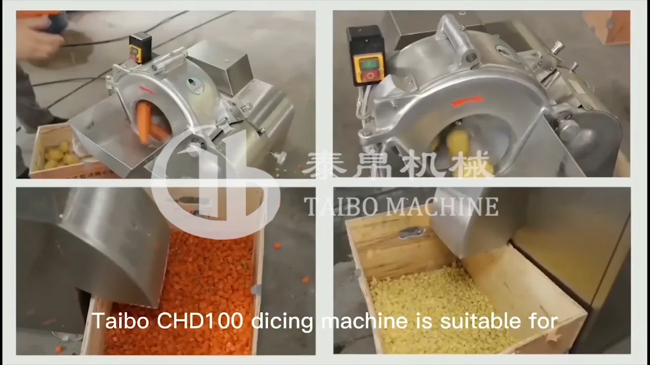 Chd100 Kitchen Equipment Onion/multifunctional Chinese Vegetable Cutter