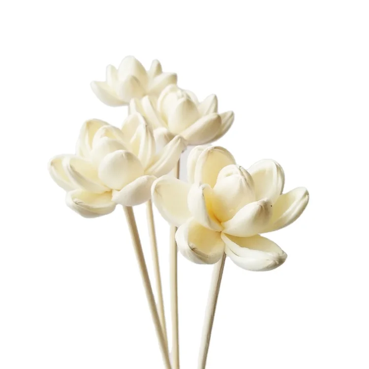 

Lotus Sola Wood Flowers Match with Natural Rattan Sticks for Perfume Oil Diffuser, Natural color