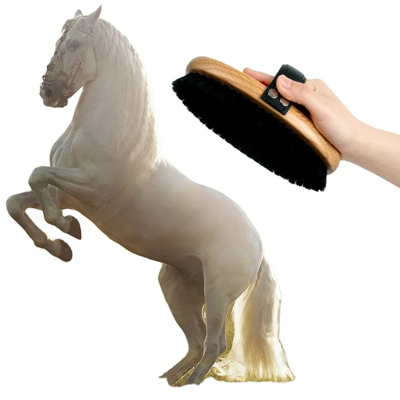 

Stock Hand make Big size solid wood horse hair horse grooming cleaning brush horse body brush with leather belt