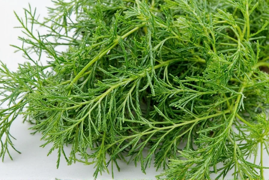 Herb Substitution