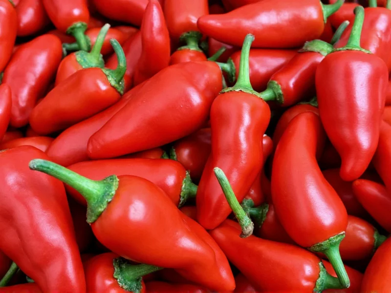 Paprika vs Cayenne Pepper: Key Differences Explained