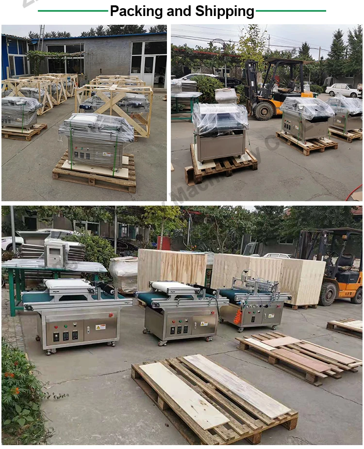 onion seeders transplanters paper pot seeder plates vegetable tray seeding machine